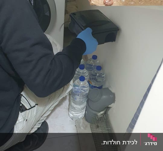 אדם עם כפפה כחולה מחזיק קופסת הדברה שחורה